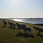 Deichblick - Nordseeurlaub In Hochwertiger 140qm Mit Garten Im Idyllischen Apartmán *